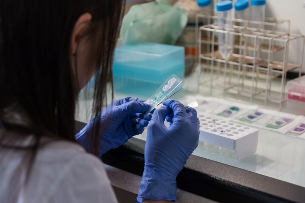 「SMCラボラトリーズ 口コミ」で検索される理由